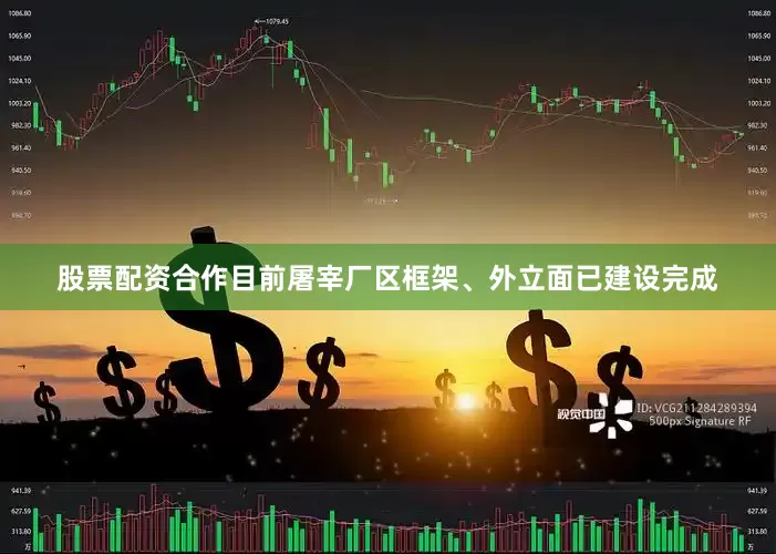 股票配资合作目前屠宰厂区框架、外立面已建设完成
