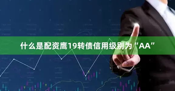 什么是配资鹰19转债信用级别为“AA”