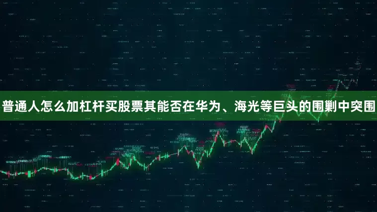 普通人怎么加杠杆买股票其能否在华为、海光等巨头的围剿中突围