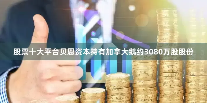 股票十大平台贝恩资本持有加拿大鹅约3080万股股份
